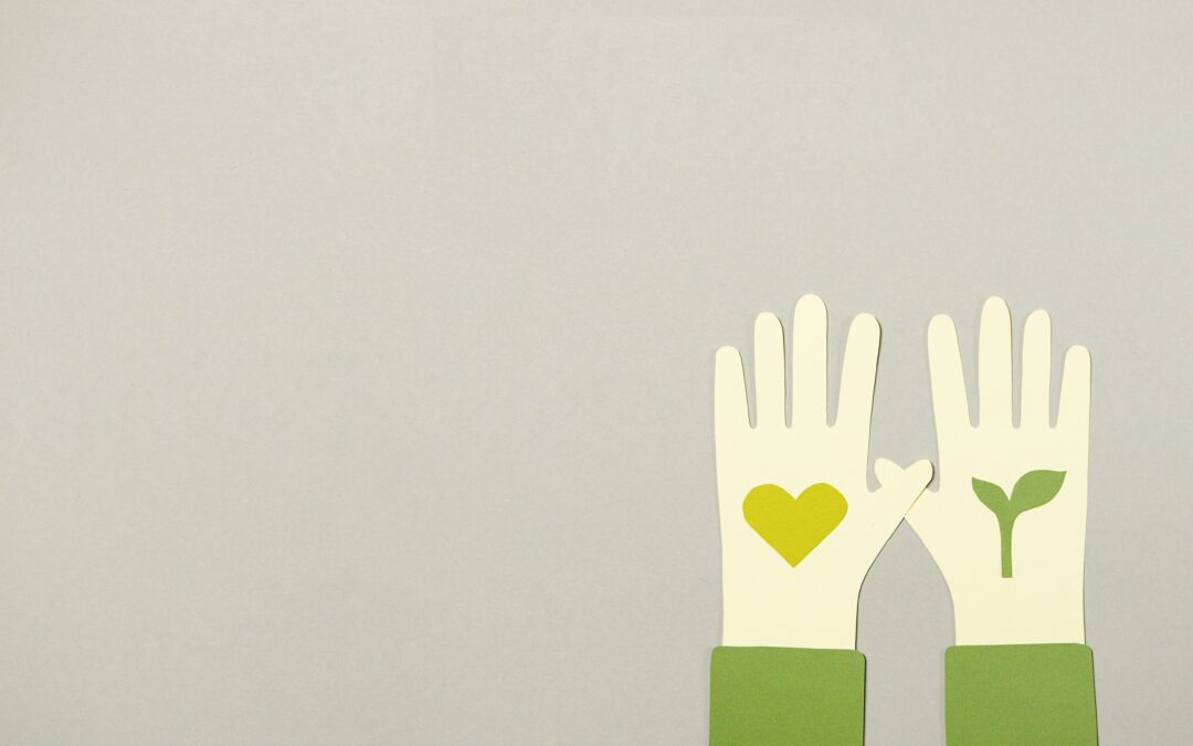 Parution du cahier spécial « RSE et développement en Afrique : pratiques, paradoxes et perspectives », co-édité par Madame Amel Ben Rhouma